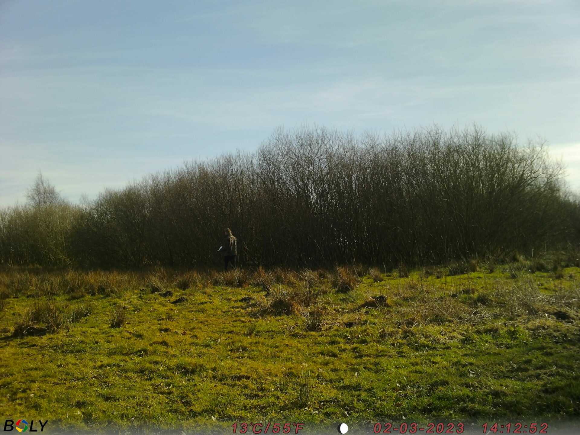 Test af vildtkameraer