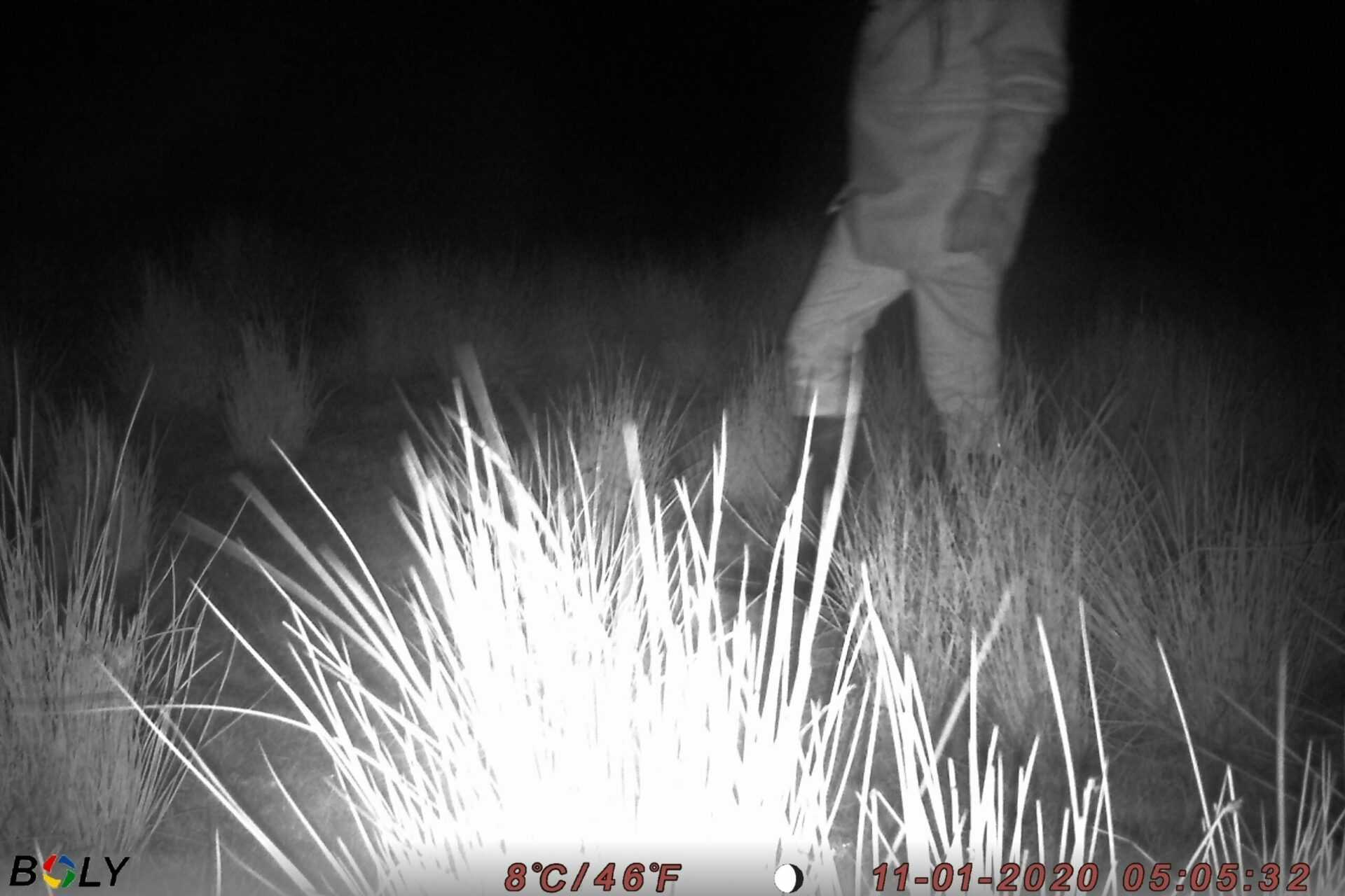 Test af vildtkameraer