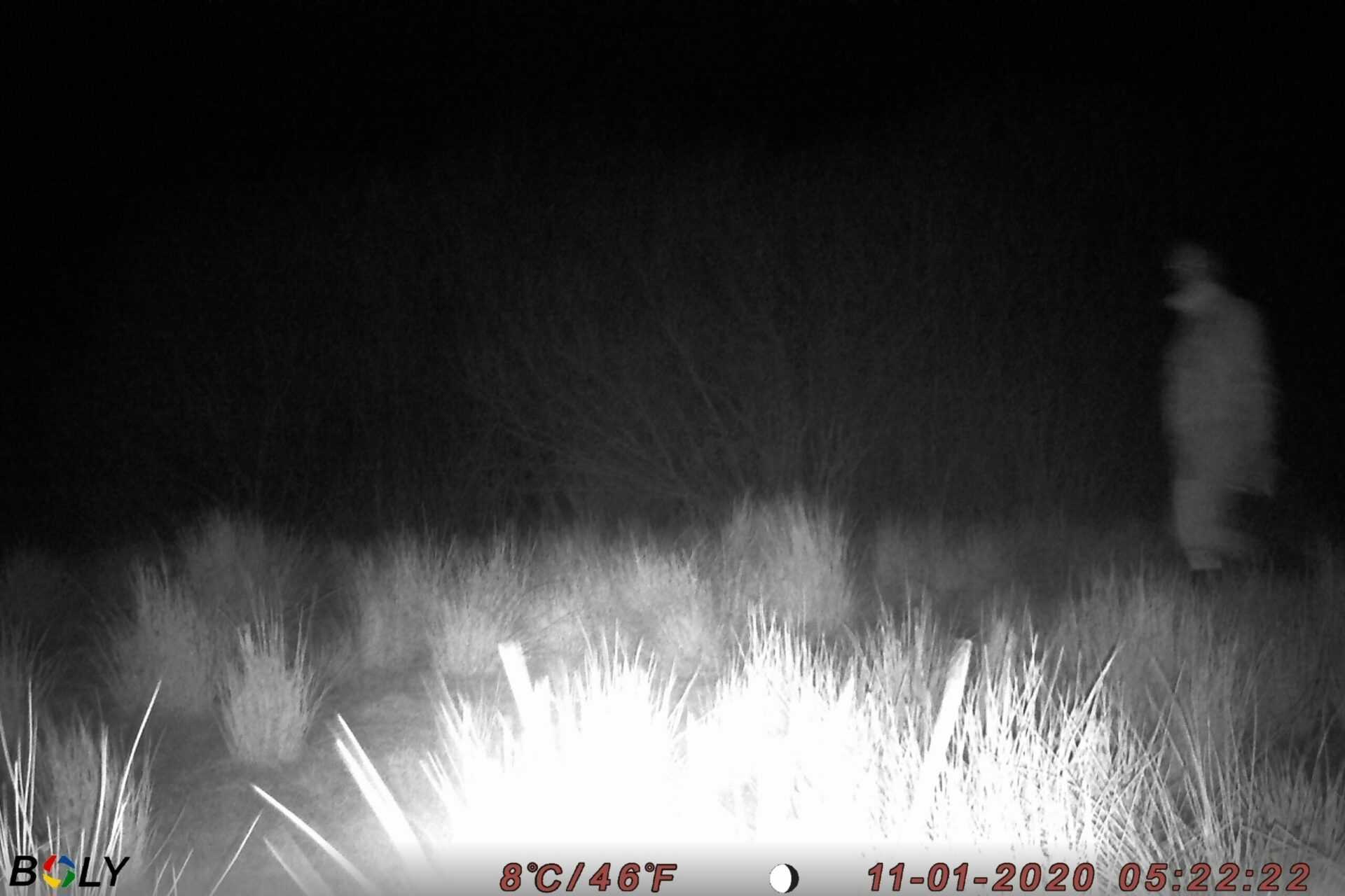 Test af vildtkameraer