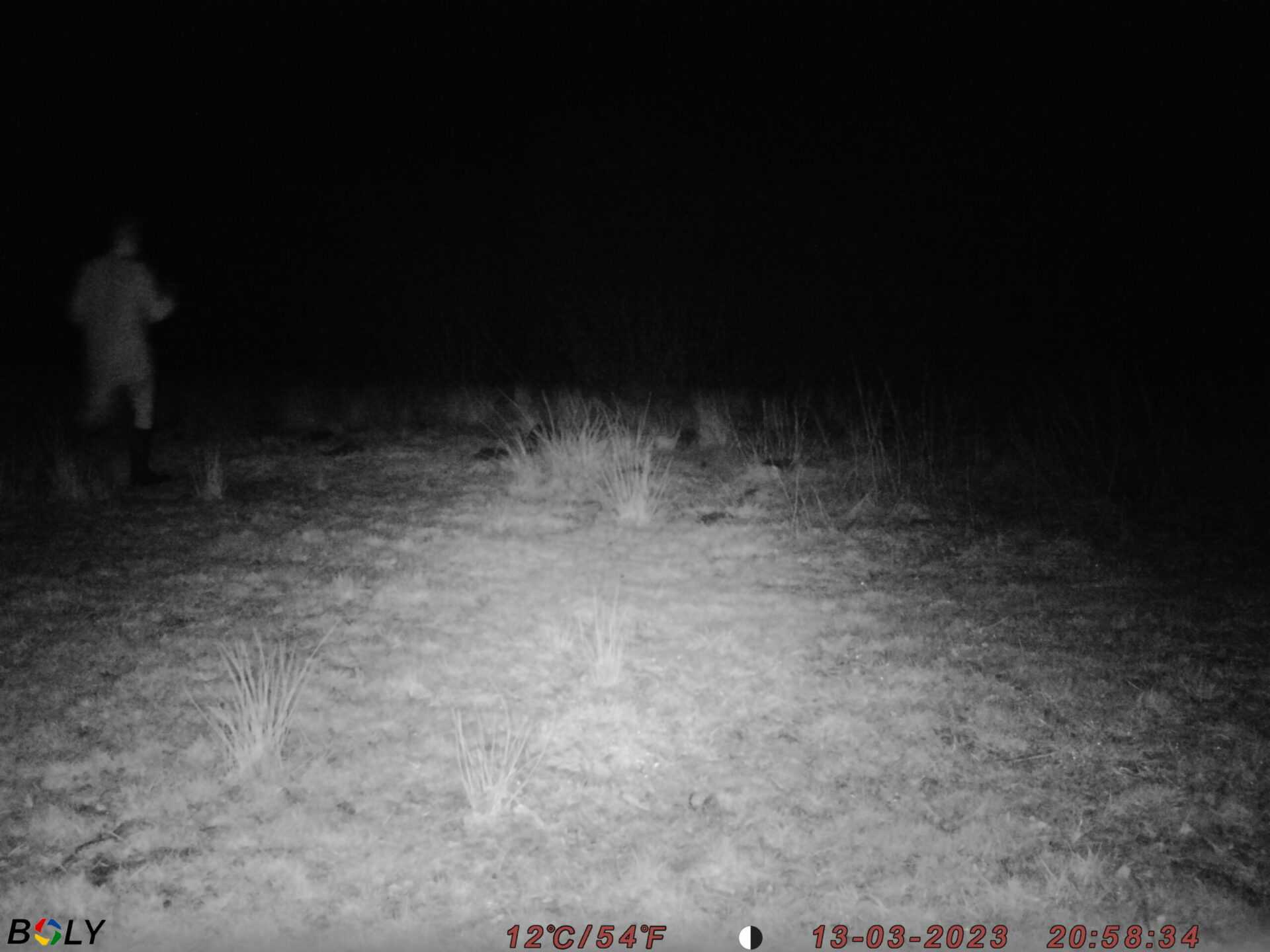 Test af vildtkameraer