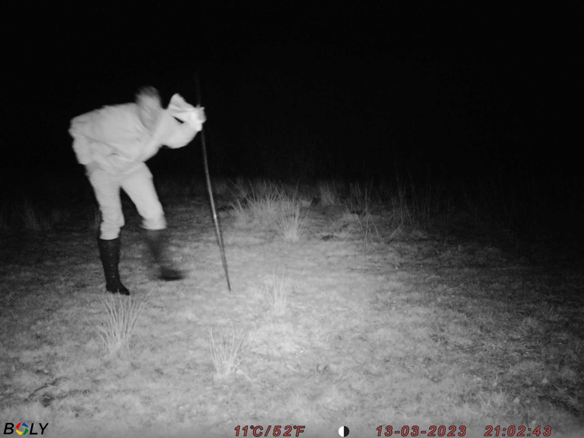 Test af vildtkameraer