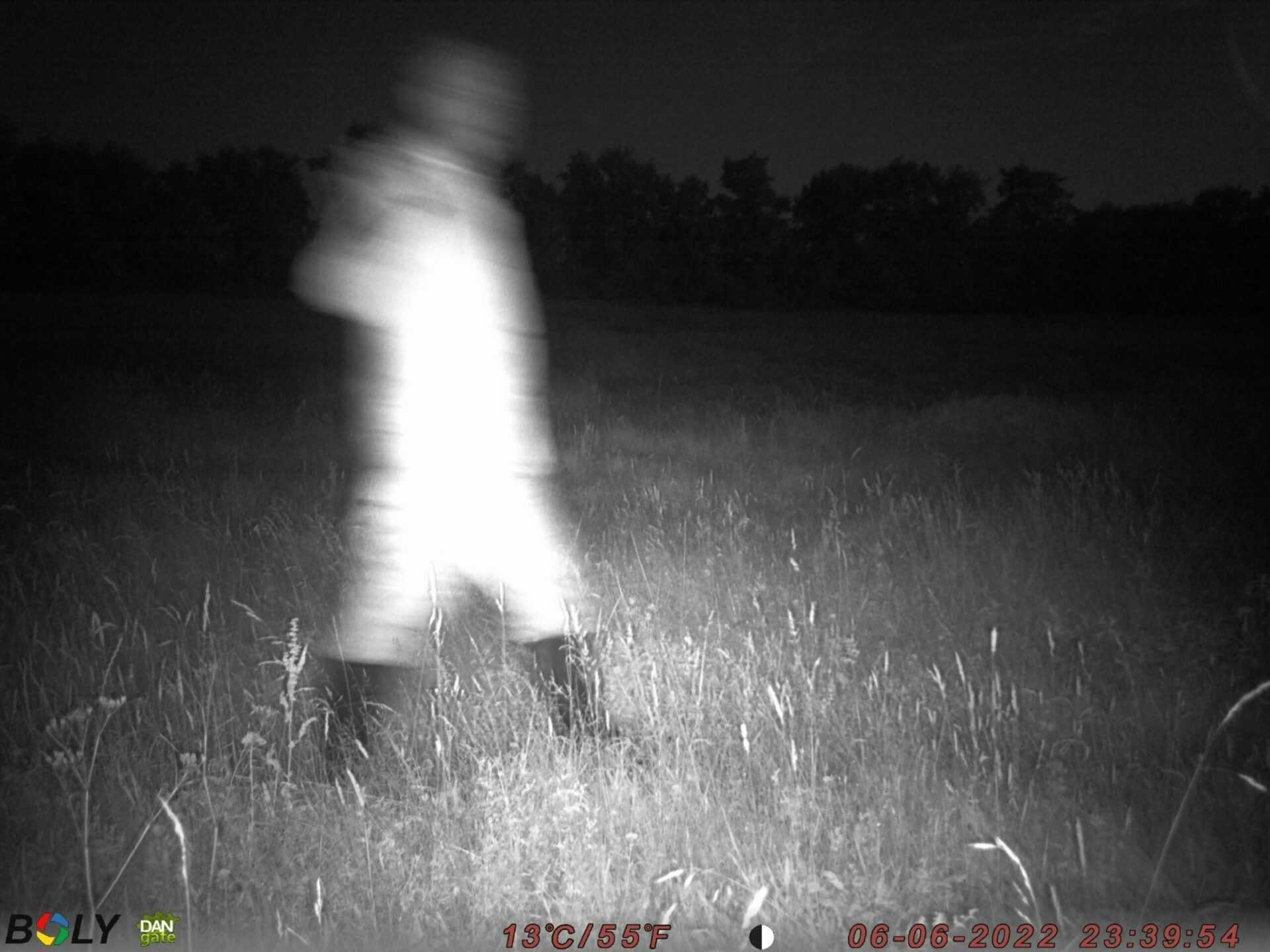 Test af vildtkameraer